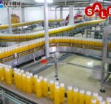 bottle filling and capping machine