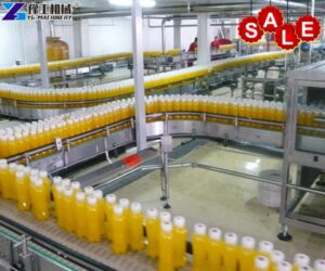 bottle filling and capping machine