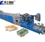 Automatic egg tray production machine for sale