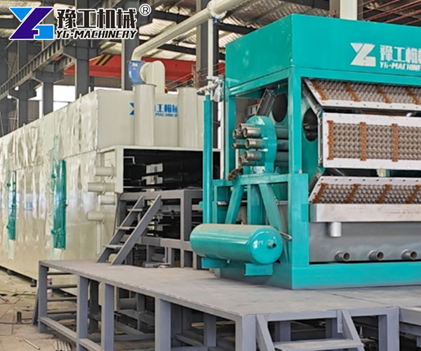 Egg carton manufacturing machine with molds